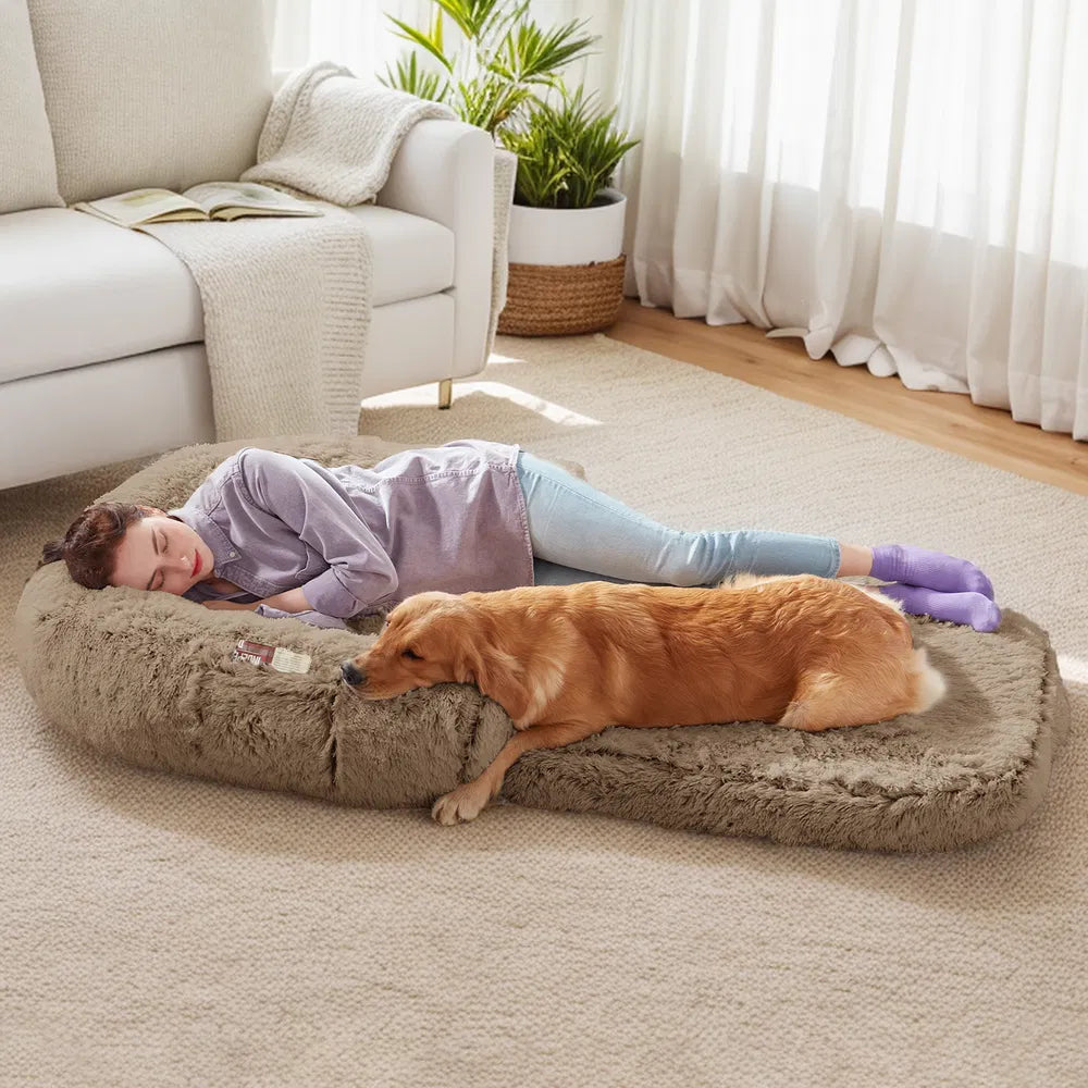 Human-Sized Orthopedic Dog Bed – Ultra-Soft Memory Foam Lounge for You & Your Pet