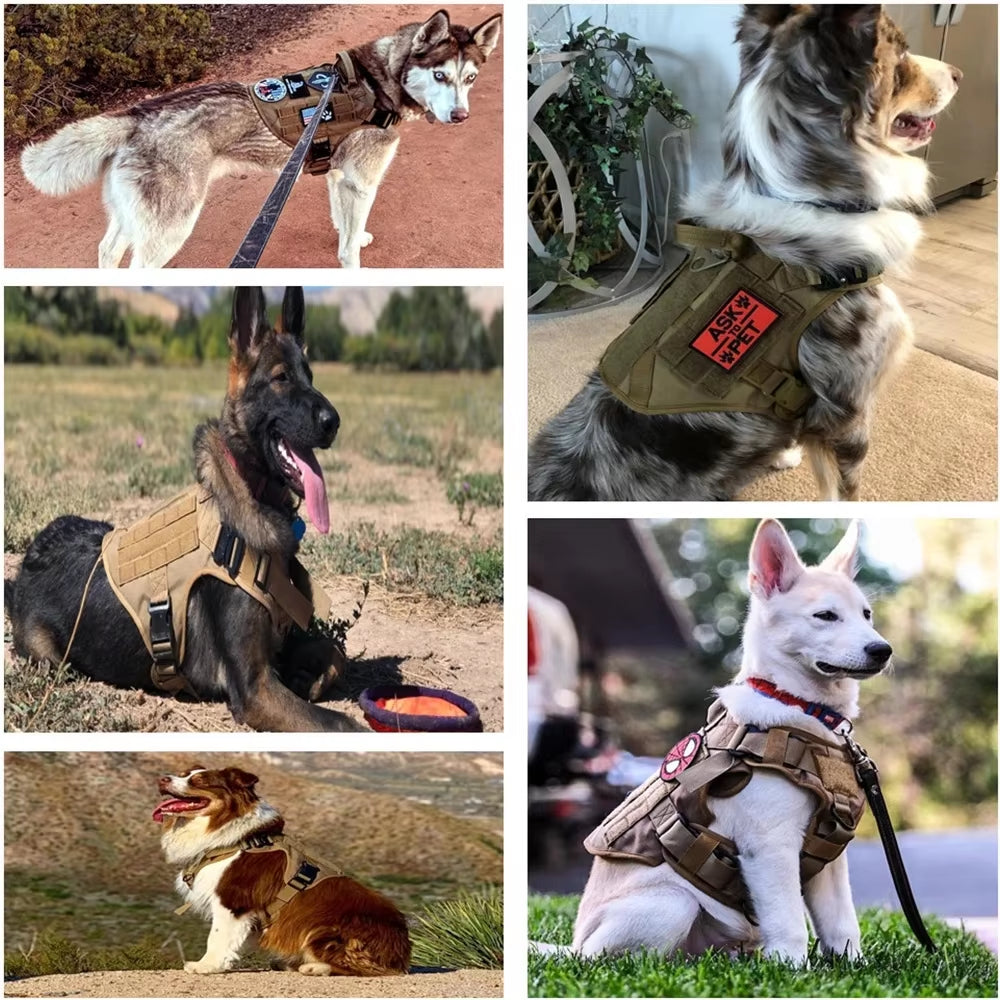 Luxury Camo Dog Harness & Leash Set – Durable, Comfortable & Secure