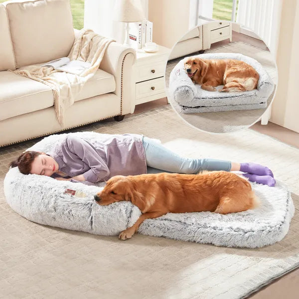 Human-Sized Orthopedic Dog Bed – Ultra-Soft Memory Foam Lounge for You & Your Pet