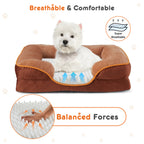 Premium Orthopedic Dog Bed with Bolsters – Ultra Cozy & Joint Support