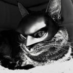 Halloween Bat Pet Mask for Cats Dogs Cool Black Cute Funny Photo Prop Pet Accessory Toy for Adults Holiday Party Decor Gift